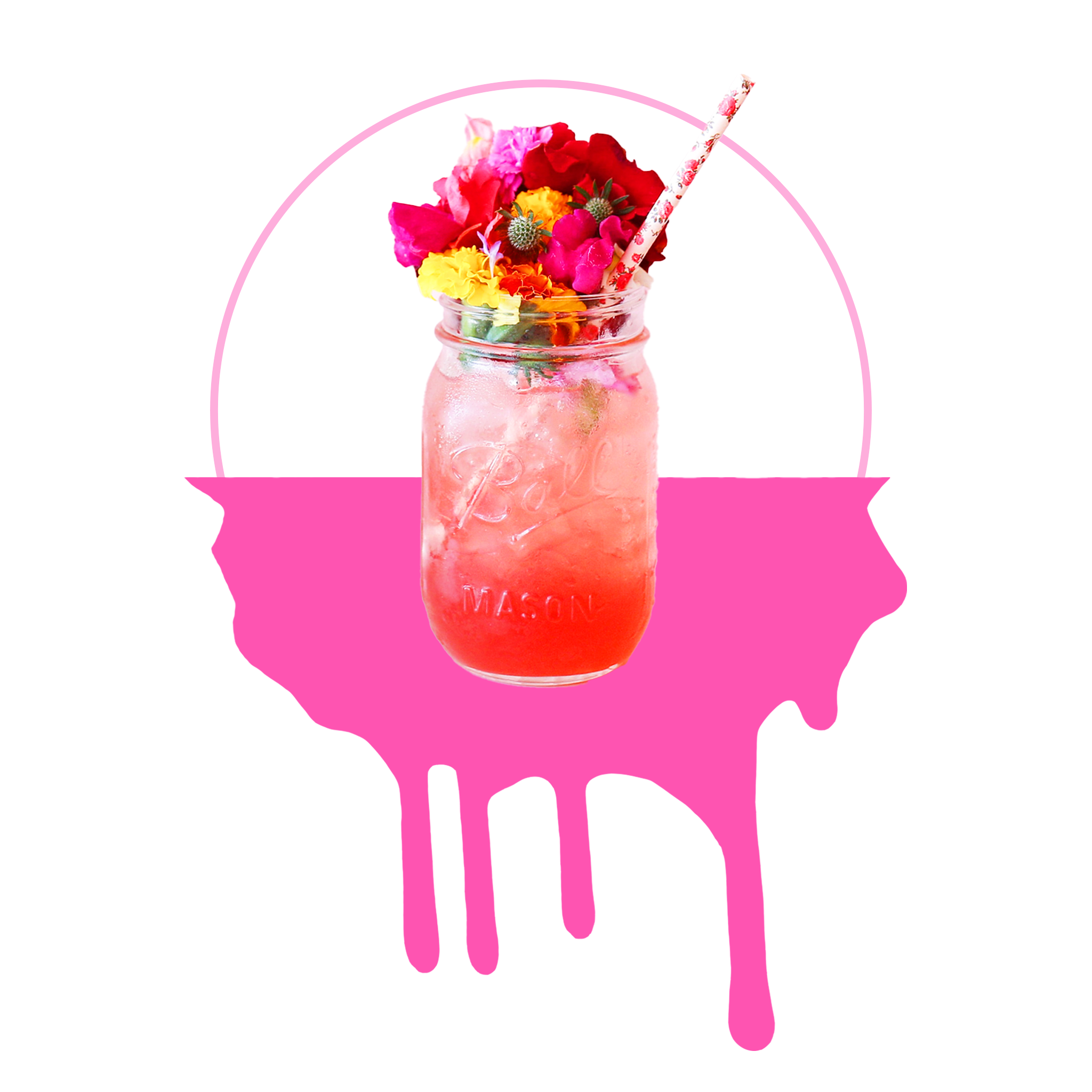 Drinks & Powders